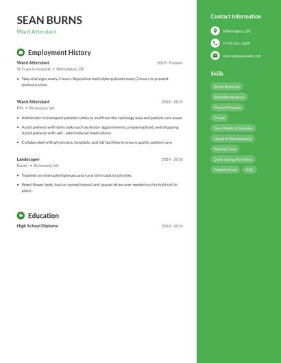 Ward Attendant Resume