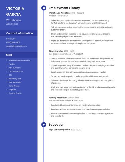 Resume example 5