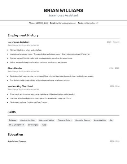 Resume example 2