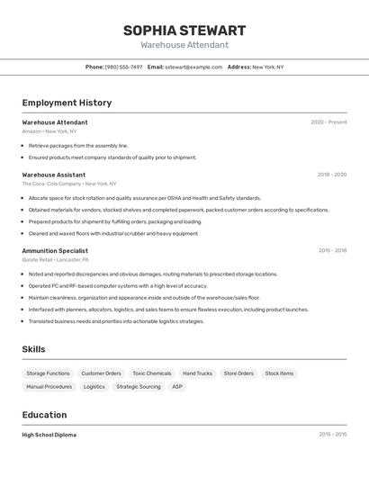 Resume example 2