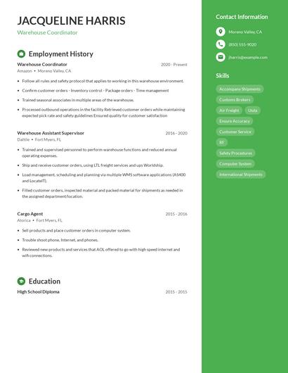 Resume example 4
