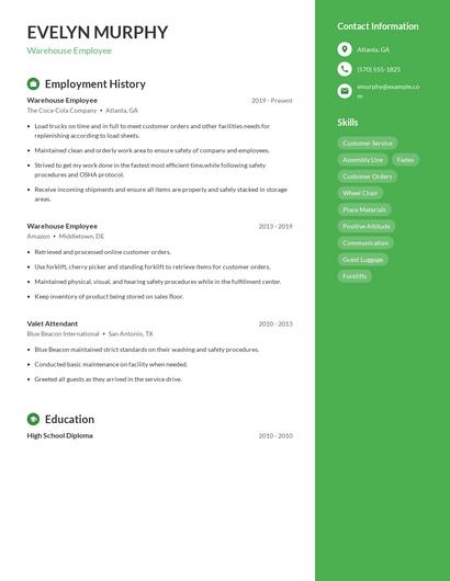 Resume example 5