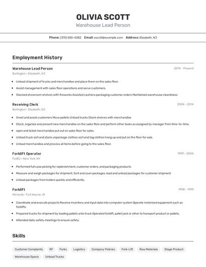 Resume example 2