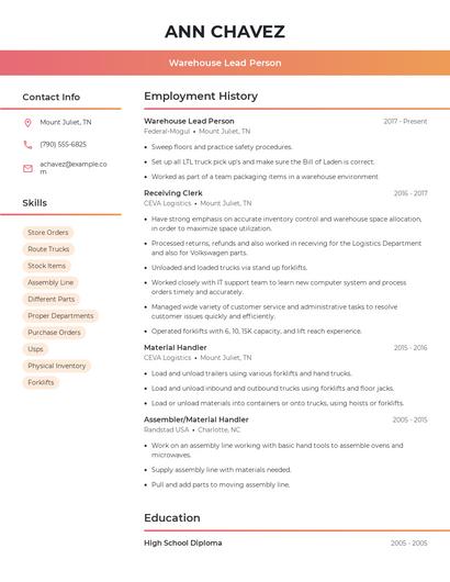 Resume example 3