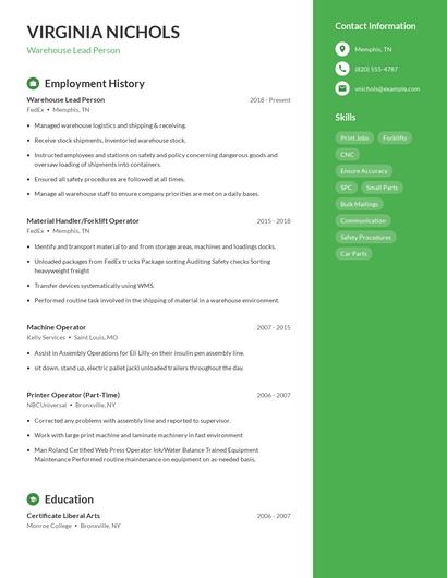 Resume example 4