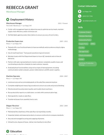 Resume example 4