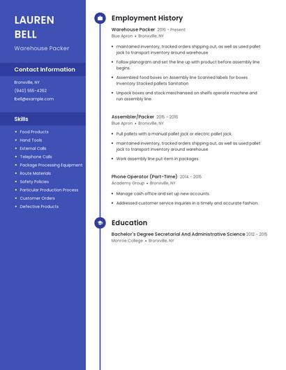 Resume example 5