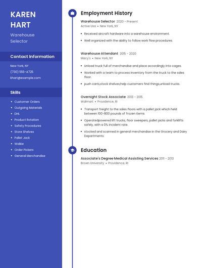Resume example 4