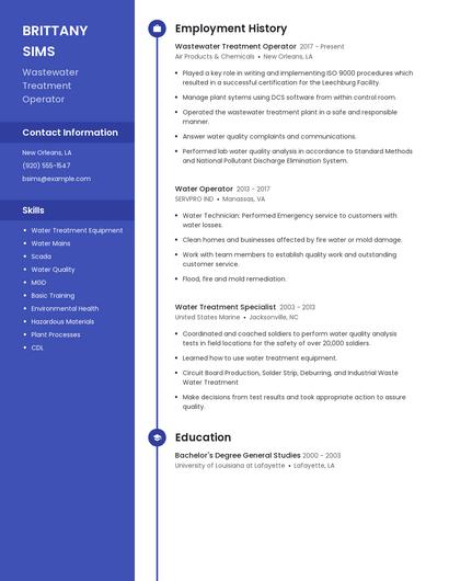 Resume example 5
