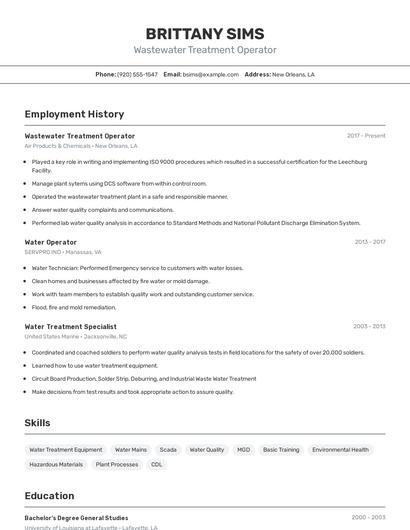 Resume example 2