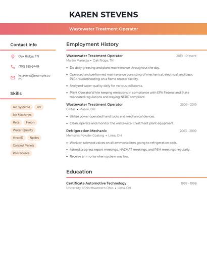 Resume example 3