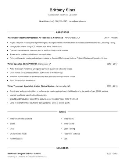 Resume example 1