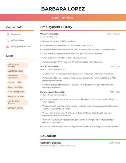Resume example 3