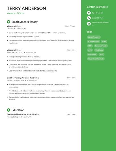 Weapons Officer Resume