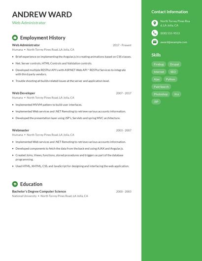 Resume example 4