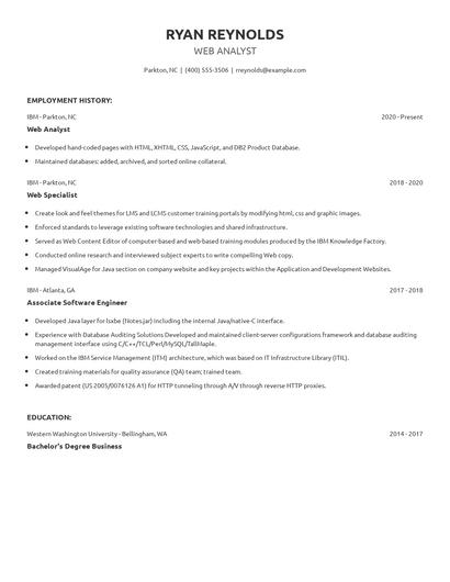 Web Analyst Resume