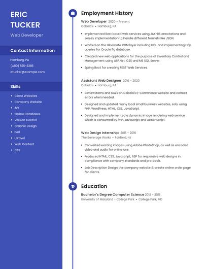 Resume example 5
