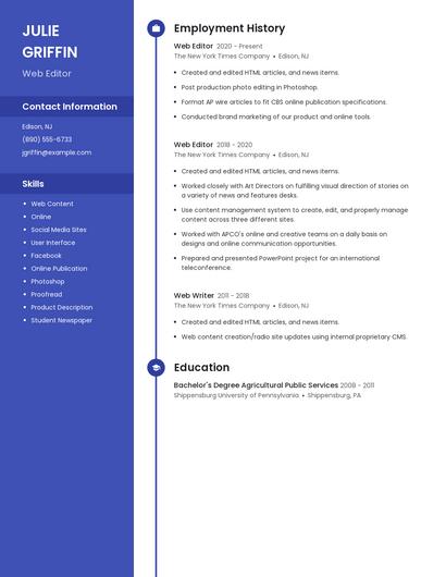 Resume example 4