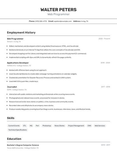Web Programmer Resume