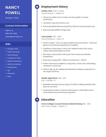 Resume example 5