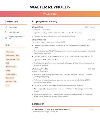 Resume example 3
