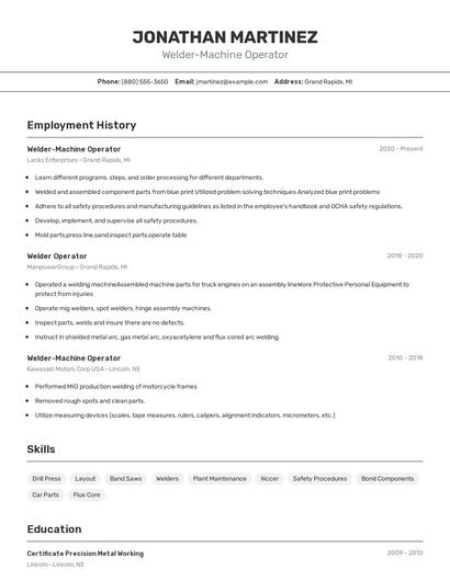 Resume example 2