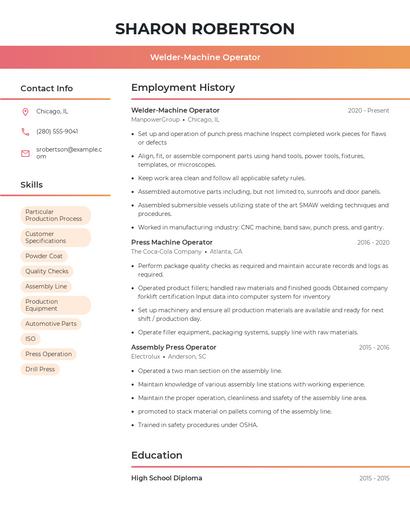 Resume example 3