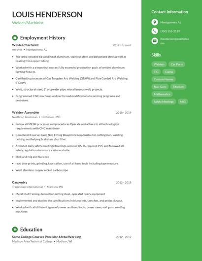 Resume example 5