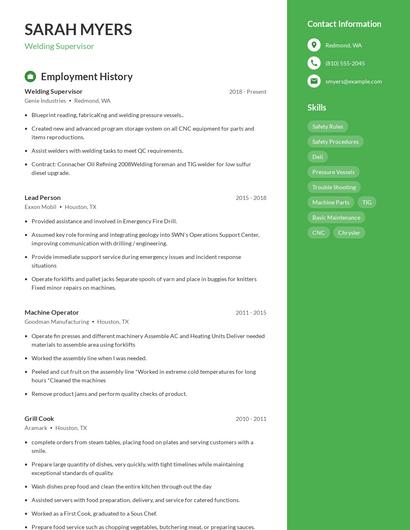 Resume example 5