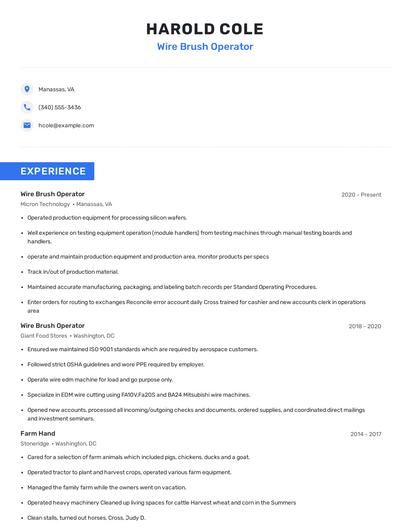 Wire Brush Operator Resume