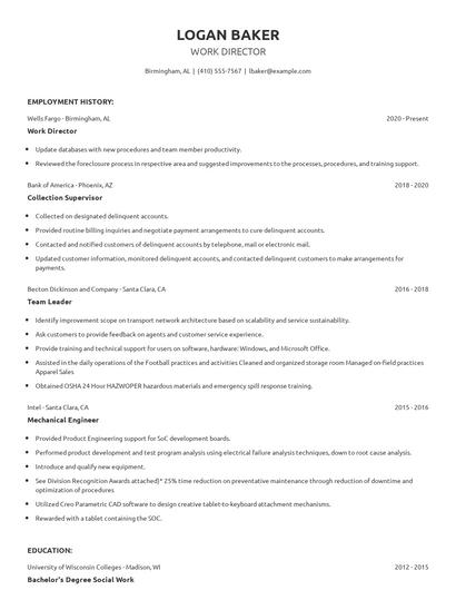 Work Director Resume