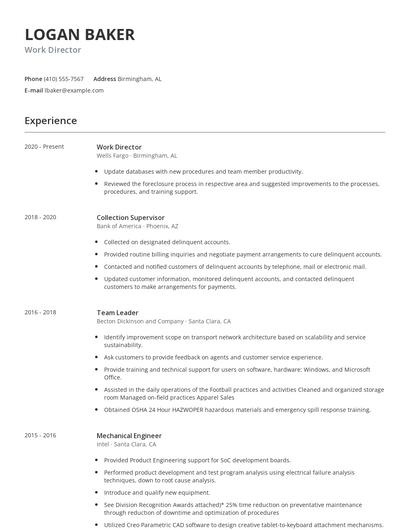Work Director Resume