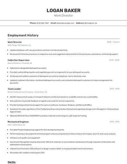 Work Director Resume
