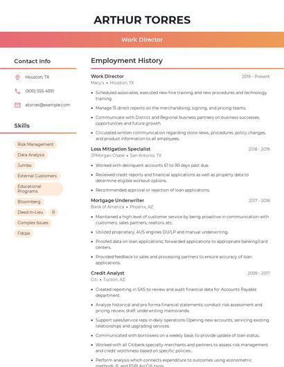Work Director Resume