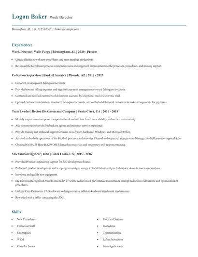 Work Director Resume