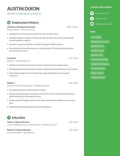 Resume example 4