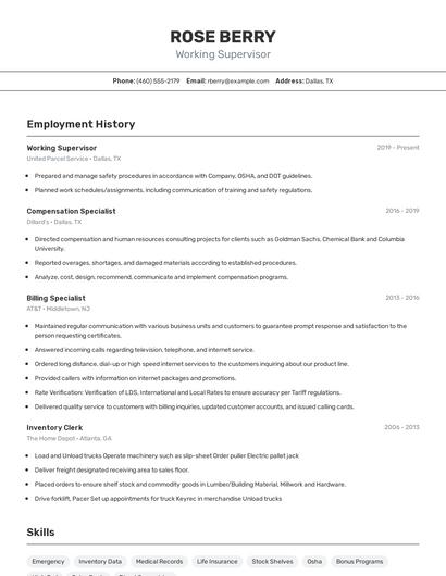 Resume example 2