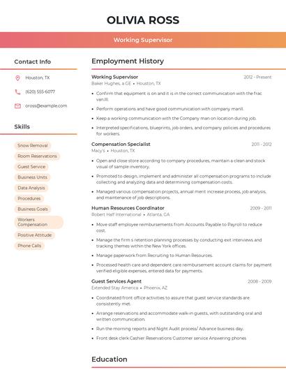 Resume example 3