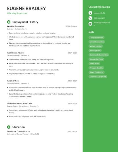 Resume example 4