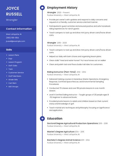Resume example 4