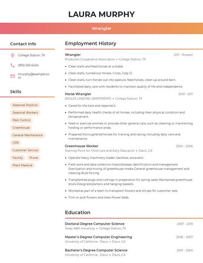 Resume example 3
