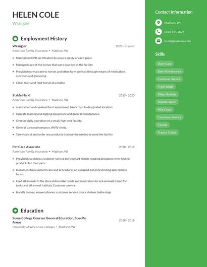 Resume example 5
