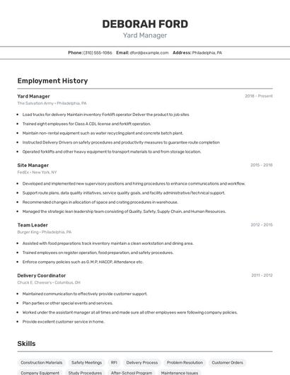 Resume example 2