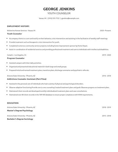 Youth Counselor Resume