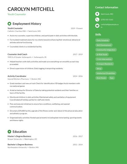 Resume example 4