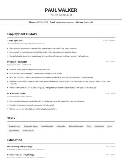 Resume example 2