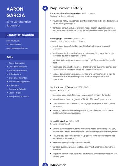 Resume example 4