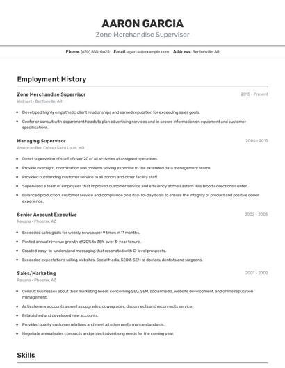 Resume example 2