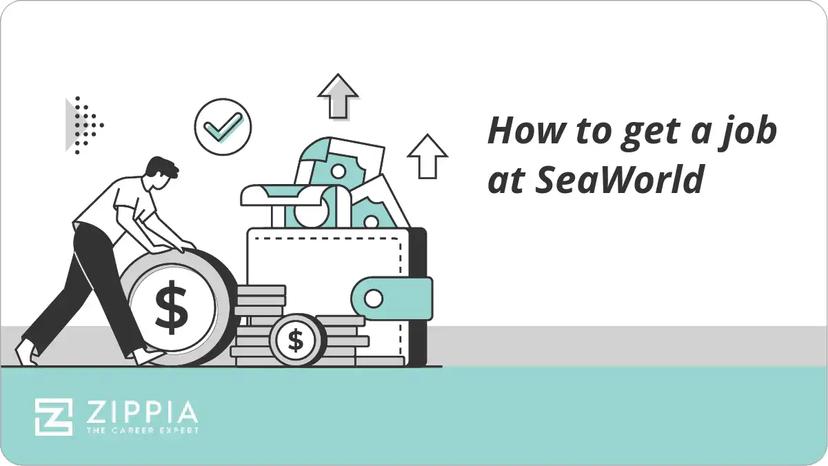 How to get a job at SeaWorld