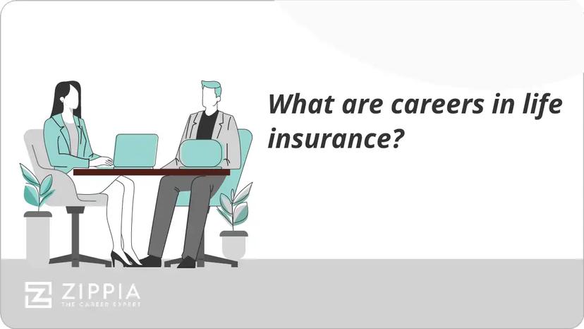 What are careers in life insurance?